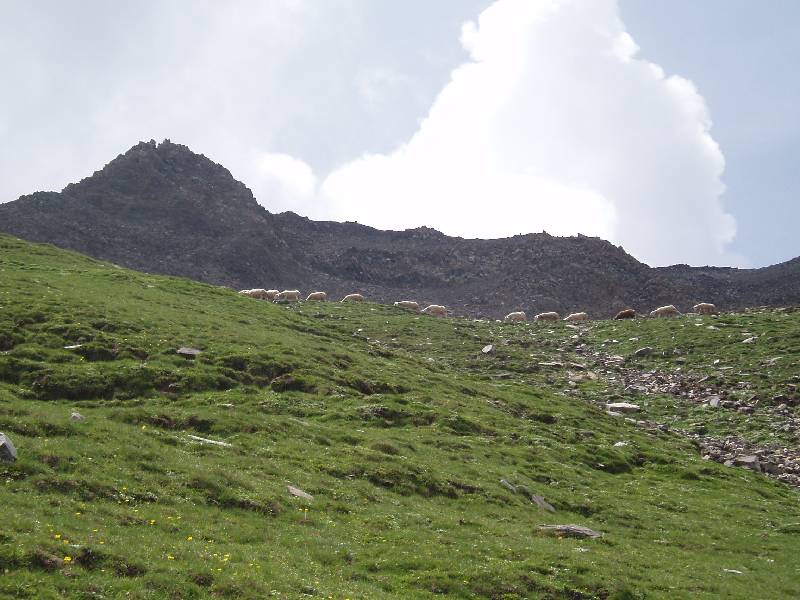 Youri - Ecrins 2005 374 
